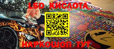 стаф Кимры