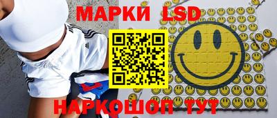 стаф Кимры