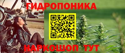 стаф Кимры