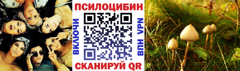 Псилоцибиновые грибы ЛСД  OMG сайт  Киржач  как найти  