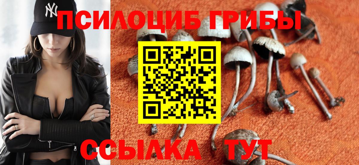 Псилоцибиновые грибы мухоморы  закладка  Киржач  Вход с VPN 